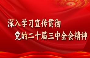 深入學習宣傳貫徹黨的二十屆三中全會精神